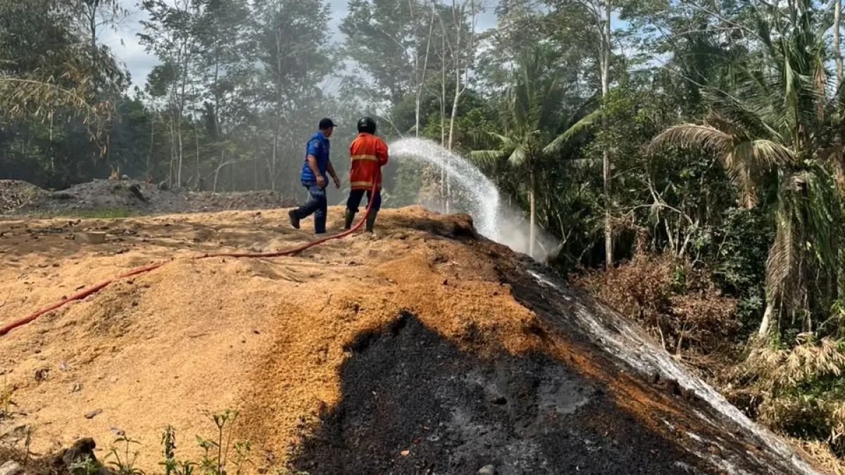 TERBAKAR : Kebakaran di tumpukan sekam di Banjar Petanahan, Desa Batu Agung, Kecamatan Jembrana. (foto: Damkar Jembrana)