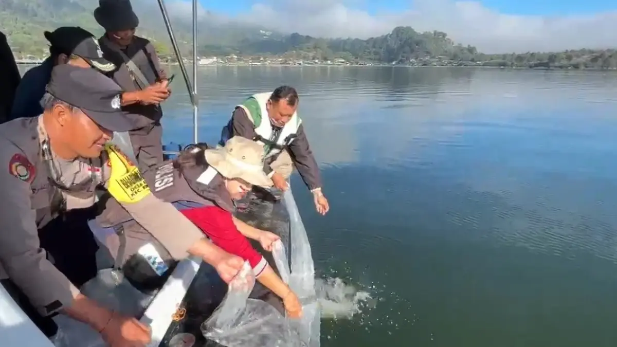 TEBAR BENIH LAGI : Dinas Pertanian, Ketahanan Pangan, dan Perikanan (PKP) Bangli melakukan penebaran bibit ikan nilai di Danau Batur, Desa Kedisan, Kecamatan Kinatamani. (Foto: Dinas Pertanian, Ketahanan Pangan, dan Perikanan (PKP) Bangli)