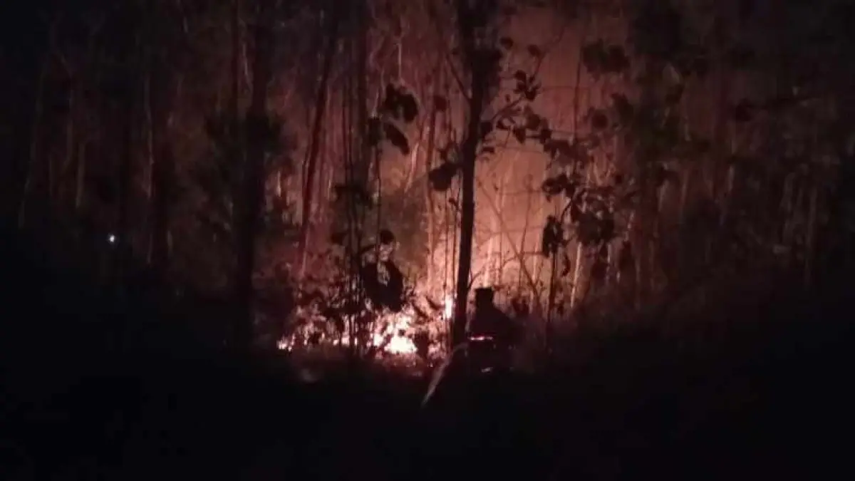 GEGARA LENGAH : Setengah hektare di Lingkungan Awen, Kelurahan Lelateng, Kecamatan Negara. (foto:Damkar Jembrana)