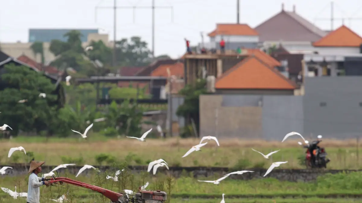 BERUBAH: Kawasan jaluir hijau di Bali saat ini sudah banyak beralih fungsi menjadi kawasan perumahan baru dan properti lainnya. (MIFTAHUDDIN HALIM/radarbali.id)