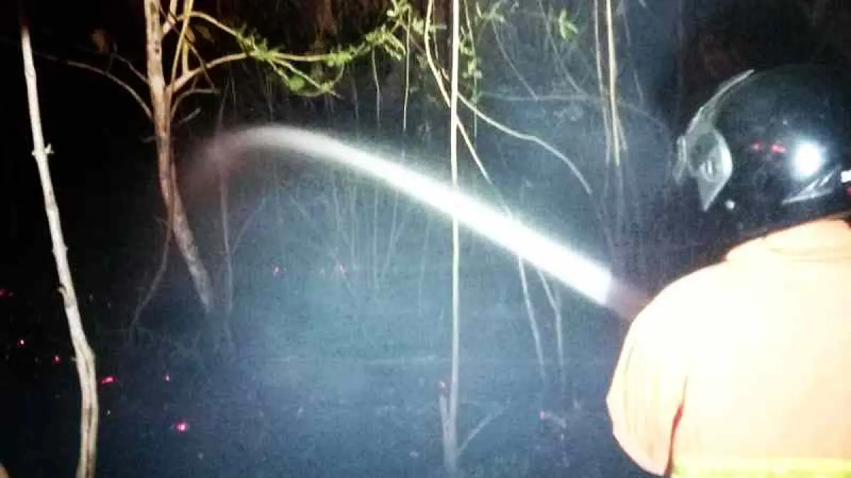 PADAMKAN API : Petugas Damkar memadamkan kebakaran lahan. (foto: Damkar Jembrana)