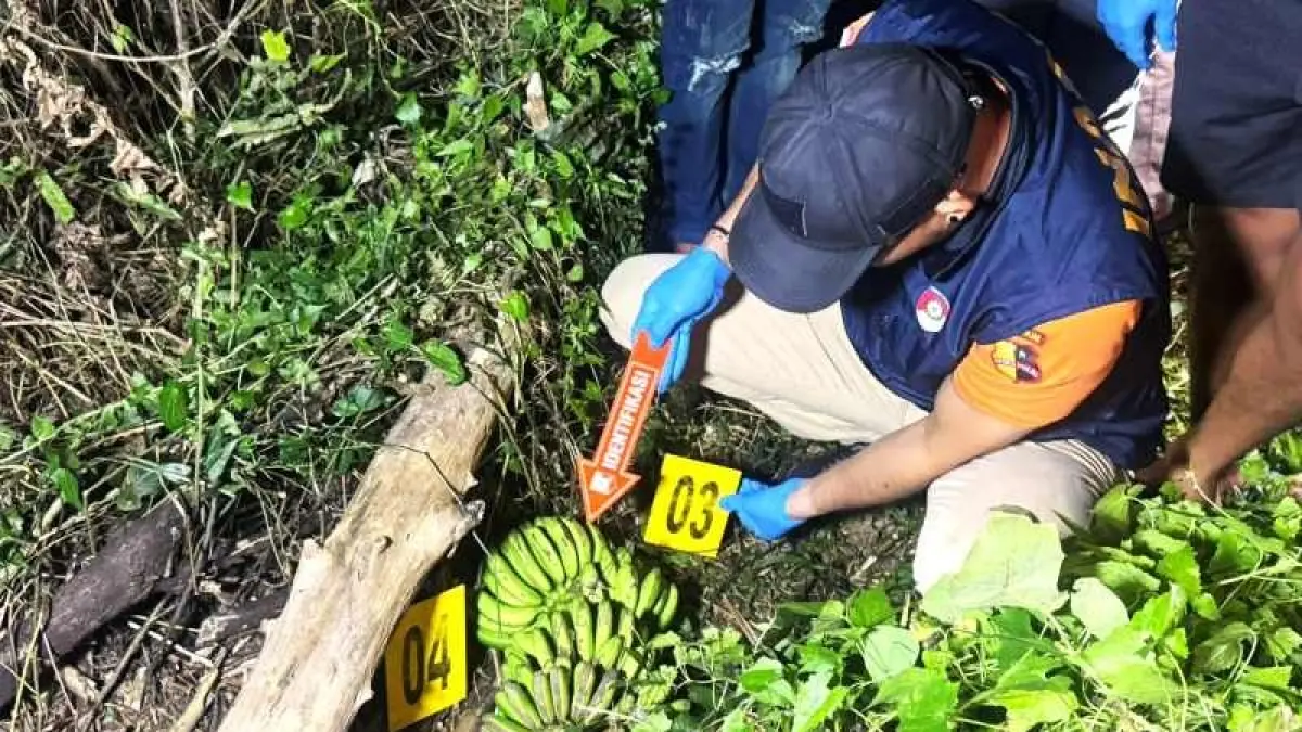 DITEMUKAN SUDAH MENINGGAL : Polisi menggelar rekonstruksi di tempat kejadian temuan jenazah. ( foto: Polres Bangli)
