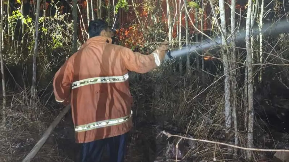 PADAMKAN API : Petugas Damkar Jembrana tengah memadamkan kebakaran lahan. (foto:Damkar Jembrana)