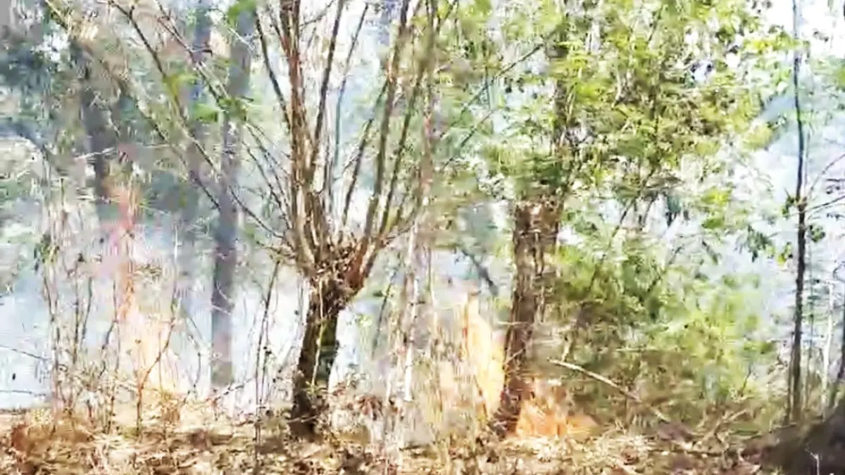 HANGUS TERBAKAR : Kebakaran lahan di wilayah Kecamatan Kubu, Karangasem. (foto: ist)