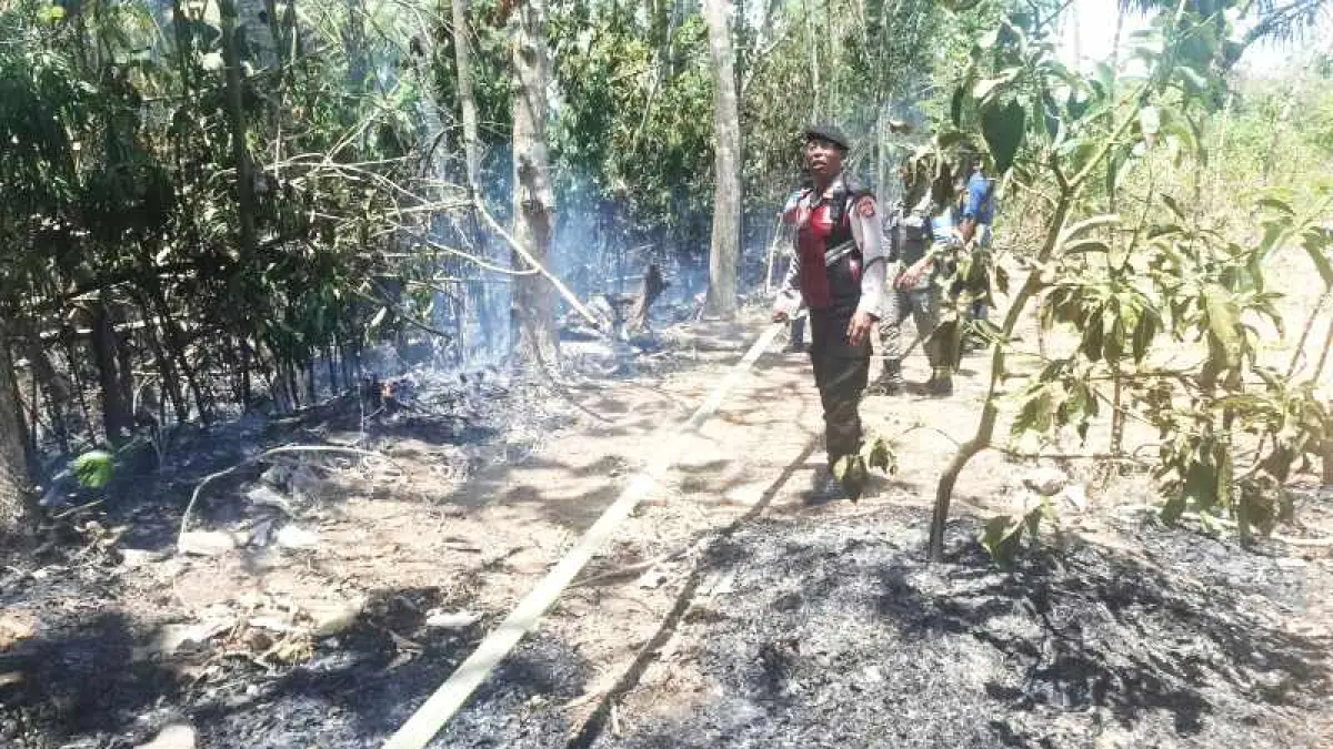 PADAMKAN API : Pemadaman api yang membakar lahan di Ekasari, Melaya,Jembrana. (foto: Damkar Jembrana)