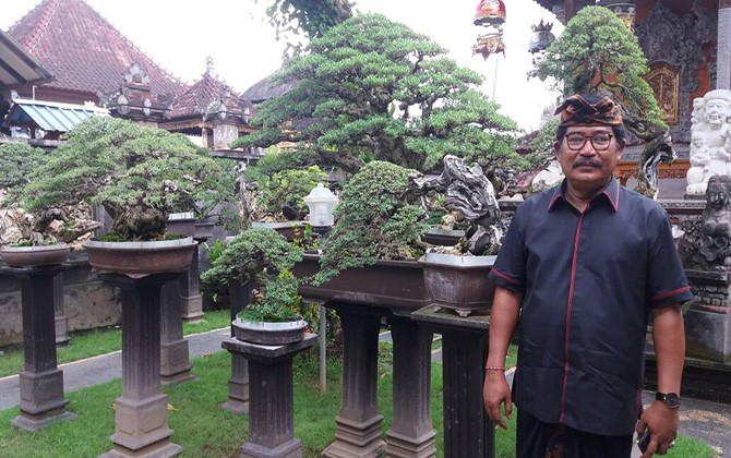 harga-ratusan-juta-bonsai-andalan-di-depan-ruang-tamu