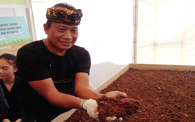 potensi-menggiurkan-cacing-diolah-untuk-pakan-ternak
