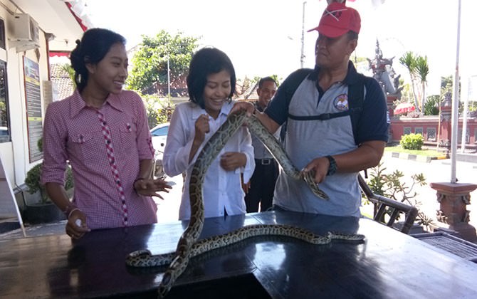 terpergok-polisi-malah-berurusan-dengan-hukum
