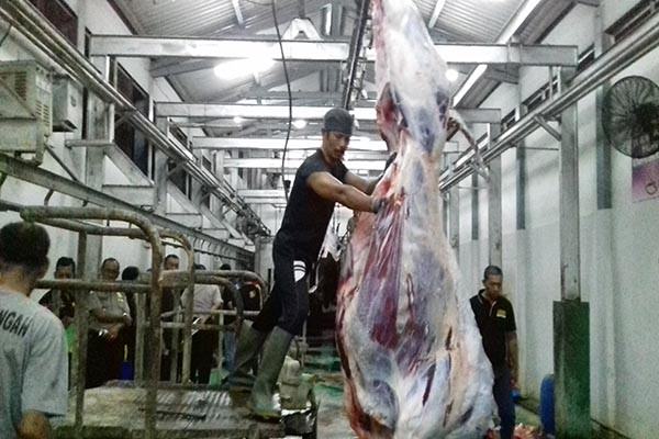 cegah-potong-sapi-betina-produktif-polri-kementan-sidak-ke-rph