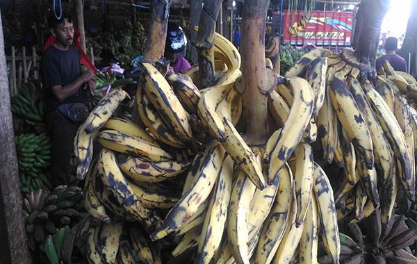 hari-raya-galungan-harga-pisang-naik-tajam
