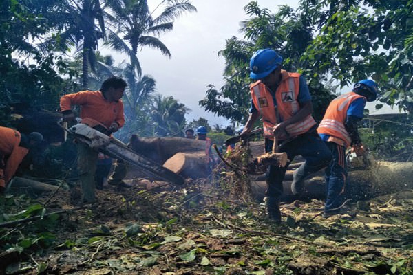 cuaca-buruk-pohon-tumbang-dan-tanah-longsor-terjadi-berurutan