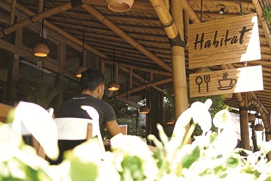habitat-tawarkan-paket-kuliner-istimewa