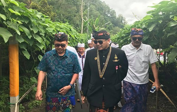 pemberhentian-awk-jadi-anggota-dpd-ri-ditunda-ini-alasannya