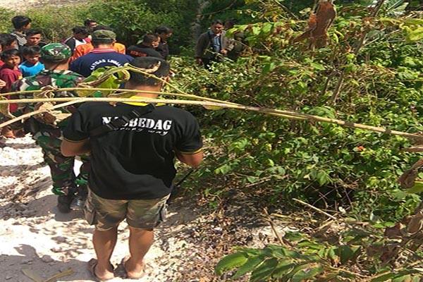 ini-sebagaian-ciri-fisik-tengkorak-misterius-di-semak-pantai-melasti