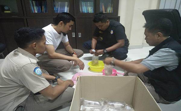tni-al-gerebek-gudang-penampungan-baby-lobster-bernilai-miliaran