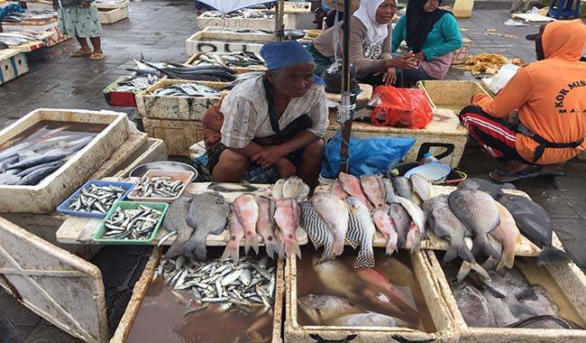 cuaca-tak-kunjung-bersahabat-hasil-tangkapan-ikan-turun-drastis