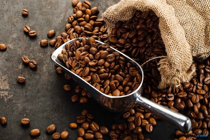 kopi-pelaga-kopi-bali-terbaik-se-nusantara-mau-coba