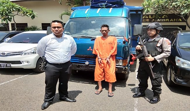 angkut-kayu-sonokeling-ilegal-dari-hutan-bali-barat-sopir-truk-dijuk