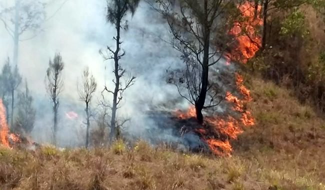 waspada-kemarau-panjang-cuaca-terik-gunung-batur-terbakar
