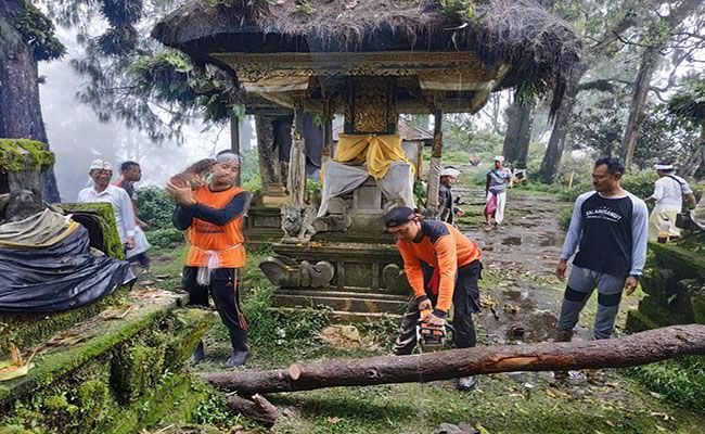 cuaca-ekstrem-pohon-cemara-tumbang-timpa-pura-luhur-puncak-mangu