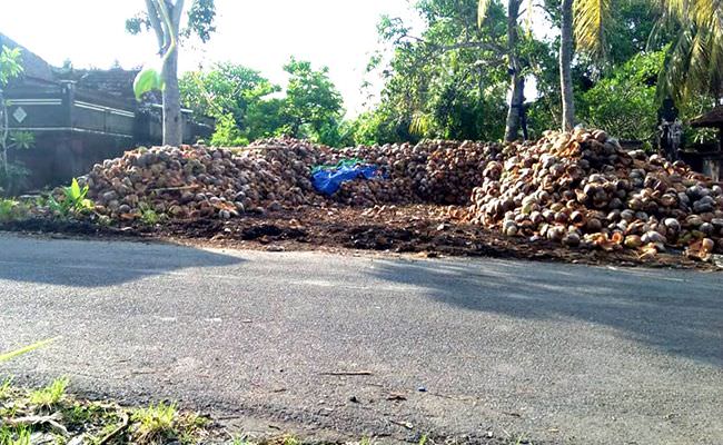 ganggu-lalu-lintas-dan-bikin-kumuh-usaha-kupas-kelapa-masih-membandel