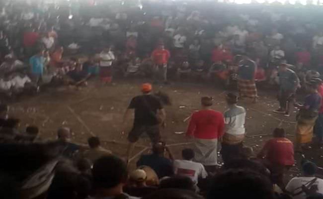tajen-di-gianyar-keliling-tiap-dua-hari-omzet-tembus-rp-1-miliar