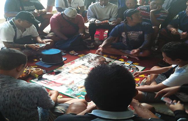 woowtak-tersentuh-aparat-judi-tajen-dibiarkan-marak-di-gianyar-bali