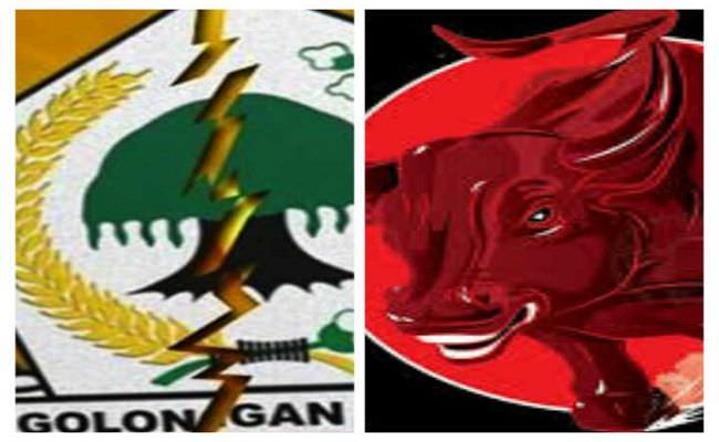 banteng-moncong-putih-ngamuk-partai-beringin-bali-ambruk
