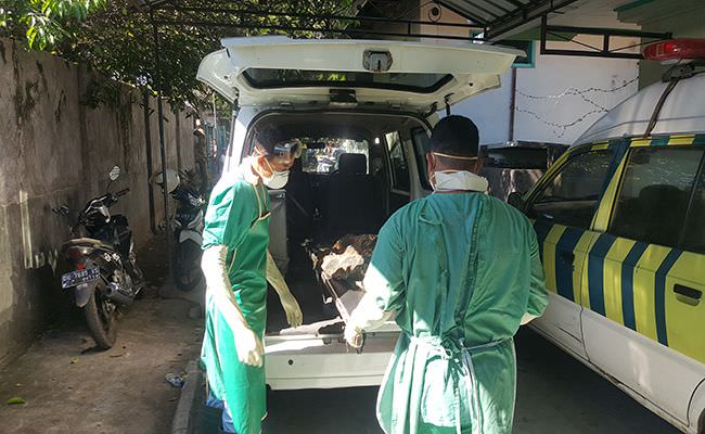 digigit-anjing-bulan-maret-abg-buleleng-tewas-diduga-terkena-rabies