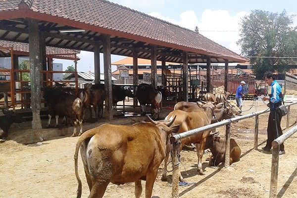 tambah-waktu-jualan-pasar-beringkit-buka-empat-hari-dalam-seminggu