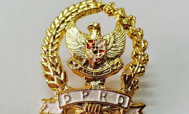 dilantik-dprd-klungkung-bakal-dibekali-pin-emas-seberat-8-gram