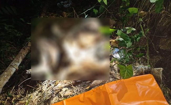 fix-jasad-dalam-kardus-teridentifikasi-perempuan-ini-ciri-khususnya