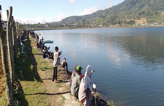 tergolong-predator-ikan-zebra-masih-jadi-momok-di-danau-buyan