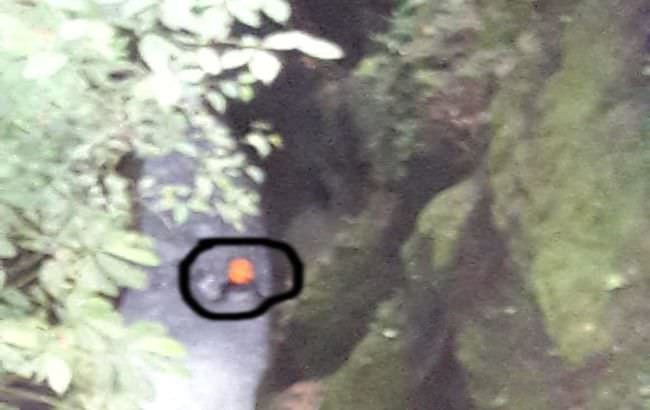 omg-remaja-putri-kintamani-nekat-terjun-dari-jembatan-tukad-ngongkong