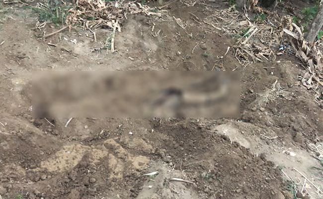 horor-surat-wasiat-sutarsa-ungkap-fakta-kuburan-suarningsih-di-kebun
