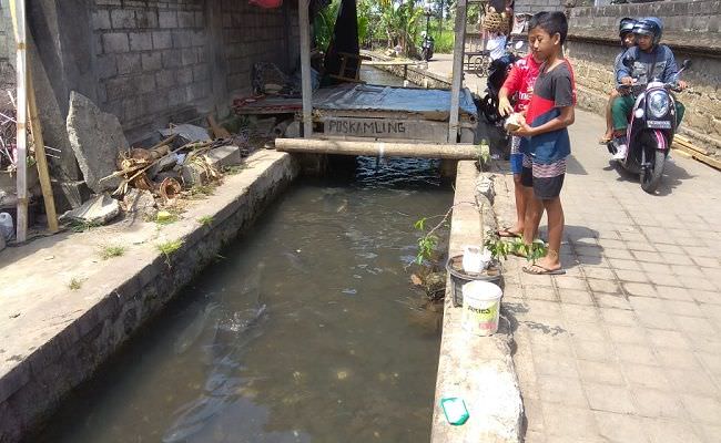 pelihara-ikan-hias-gelar-even-mancing-untuk-lestarikan-aliran-sungai