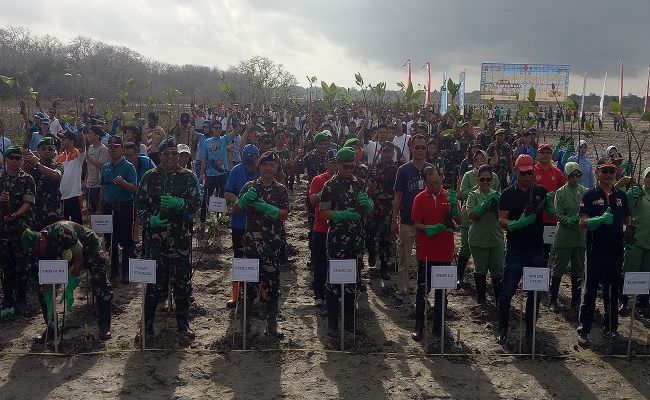 dukung-wujudkan-hutan-kota-tni-tanam-5000-bibit-mangrove-serempak
