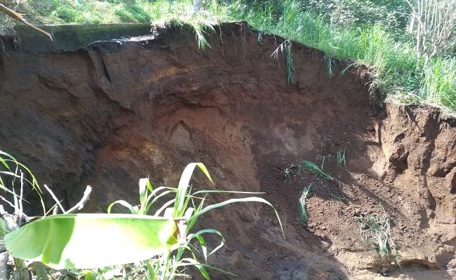 saluran-irigasi-di-tampaksiring-jebol-7-subak-alami-kekeringan-parah