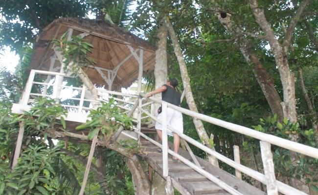 tika-pagraky-sebut-foto-prewed-di-badung-pemilik-bongkar-rumah-pohon