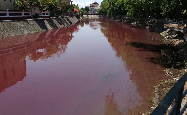 air-tukad-badung-merah-darah-pol-pp-segel-usaha-sablon-hj-nurhayati