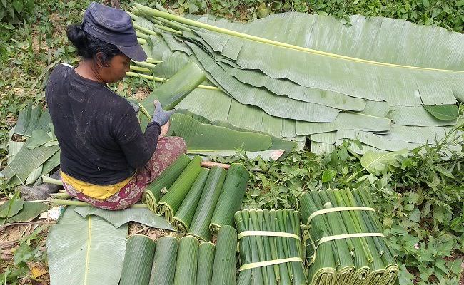 bagi-hasil-dengan-desa-sehari-rp-80-ribu-upah-untuk-sekolahkan-anak