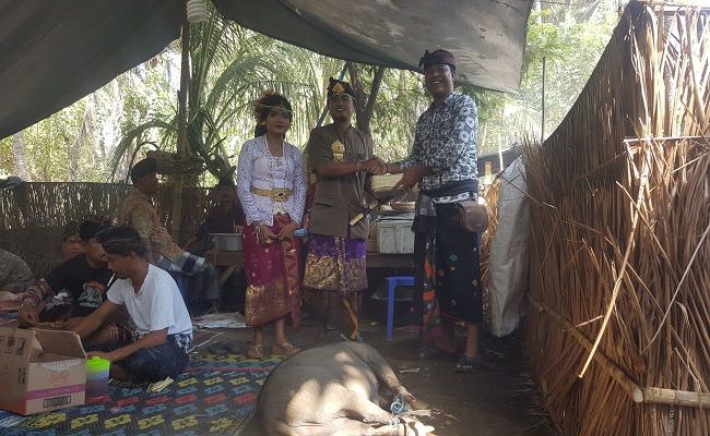 dorong-pengantin-pakai-bahan-non-plastik-hadiah-utamanya-babi-hitam