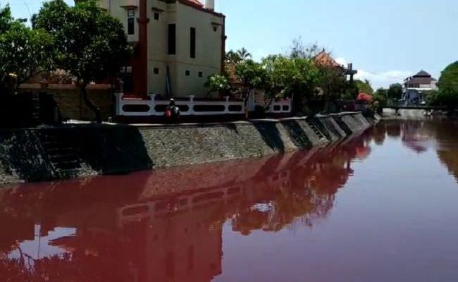 mengerikan-tukad-badung-tercemar-warna-air-berubah-jadi-merah-darah