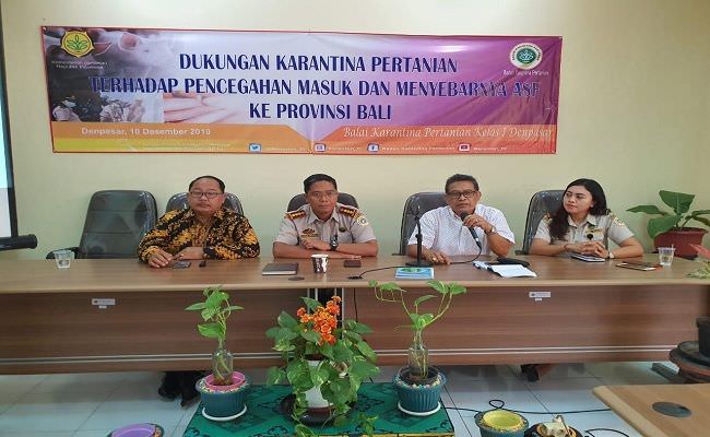 karantina-warning-bali-waspadai-penyebaran-virus-flu-babi-afrika