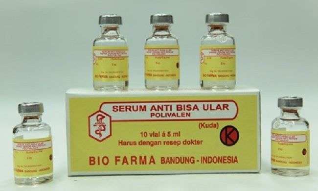 ular-kobra-berkeliaraan-diskes-pastikan-stok-serum-anti-bisa-aman