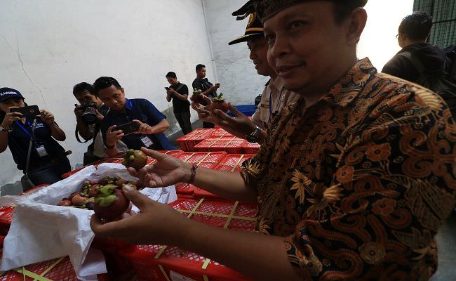 virus-corona-merebak-ekspor-manggis-tabanan-ke-tiongkok-anjlok