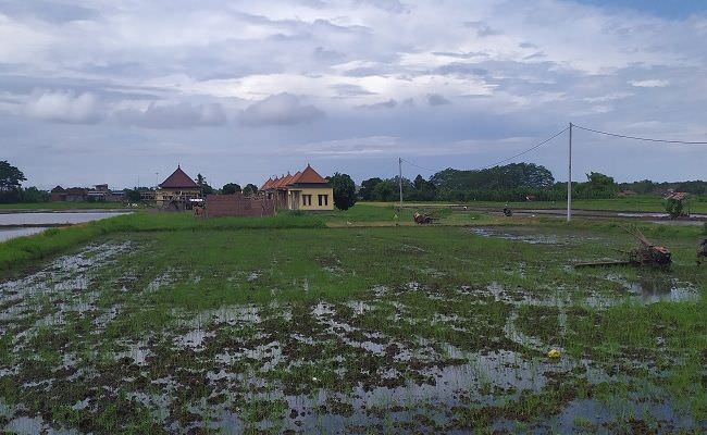 alih-fungsi-lahan-pertanian-makin-masif-perda-belum-efektif