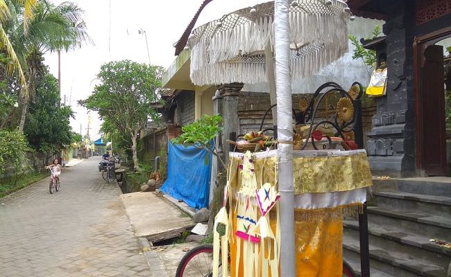 duh-parah-banten-penjor-galungan-di-ubud-dicuri-maling