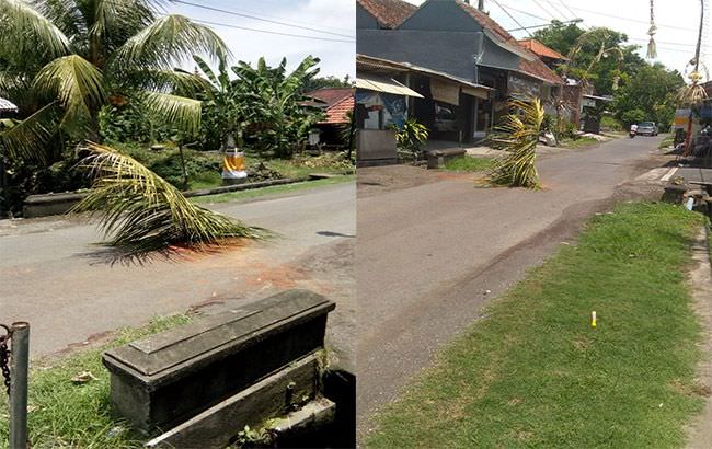 jalanan-berlubang-warga-tumbak-bayuh-tanam-pohon-di-tengah-jalan