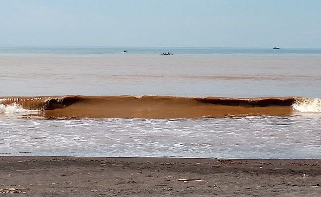 air-pantai-biaung-berubah-warna-ternyata-ini-penyebabnya